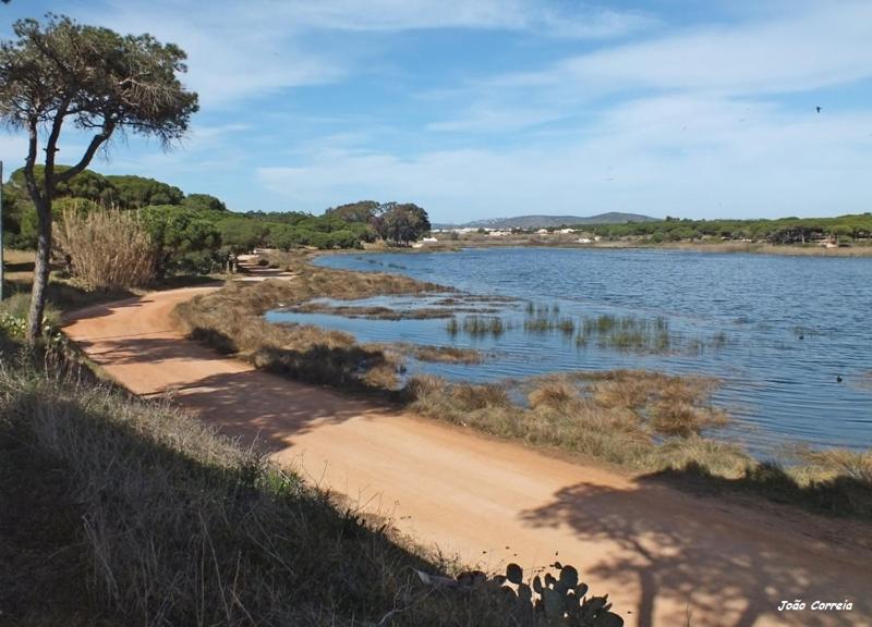 Hospedaria Do Almargem 奎特里拉 外观 照片